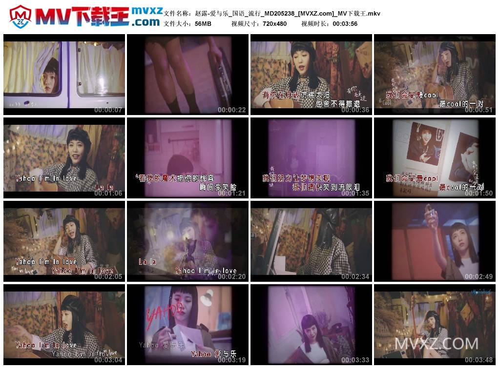 赵露-爱与乐_国语_流行_MD205238